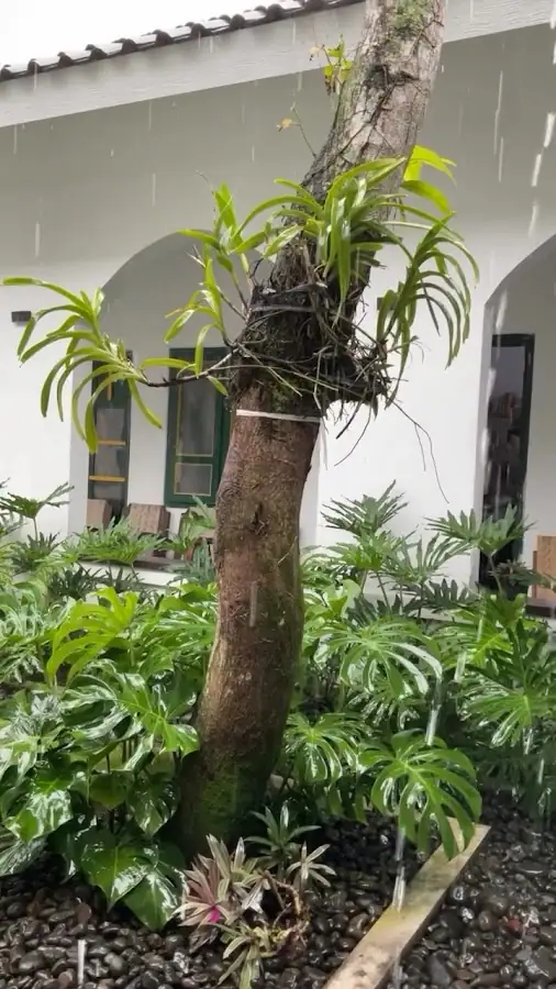 Ndalem Kemantenan Homestay — foto 4