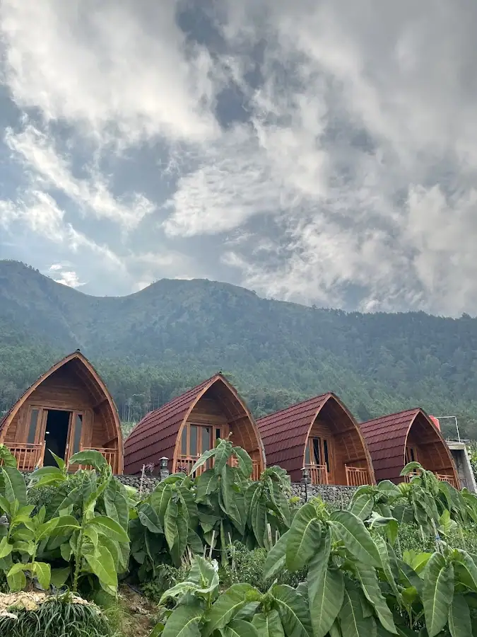 Omah kayu — foto 4
