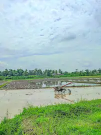 Homestay Joglo Jembangan — foto 4