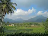 Idaman Homestay — foto 3