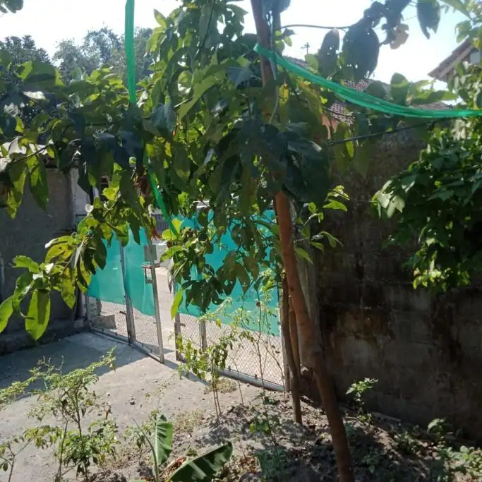 De Ikut Bojo Homestay - Economy Double Room — foto 3