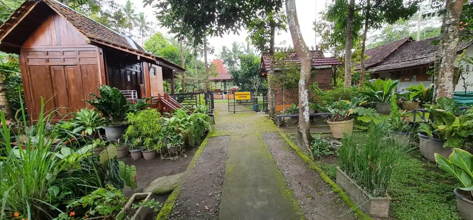 Anugrah Borobudur - Deluxe Room — foto 2