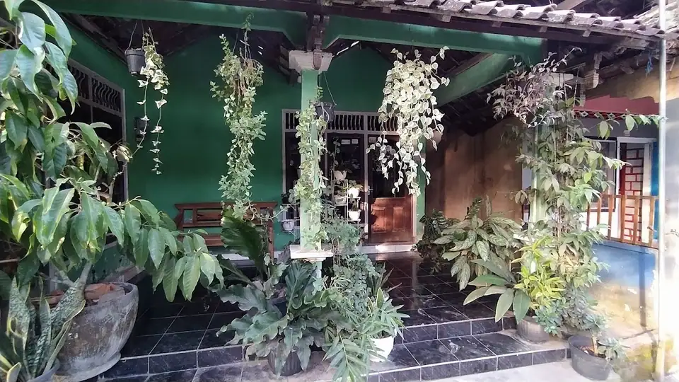 Bayyu's House