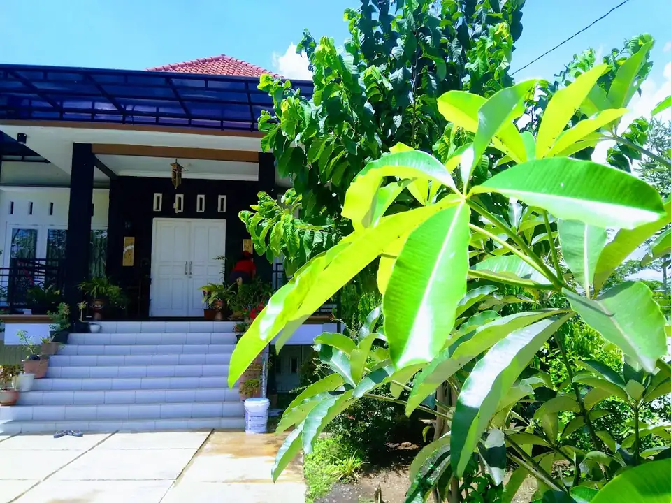 Green Garden Villa Krincing