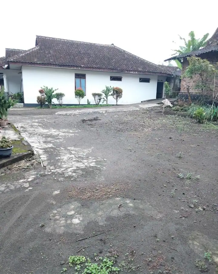 Aulia Homestay — foto 4