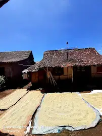 Wiliam Homestay — foto 2