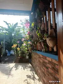 Kebun Pakdé dan Homestay — foto 5