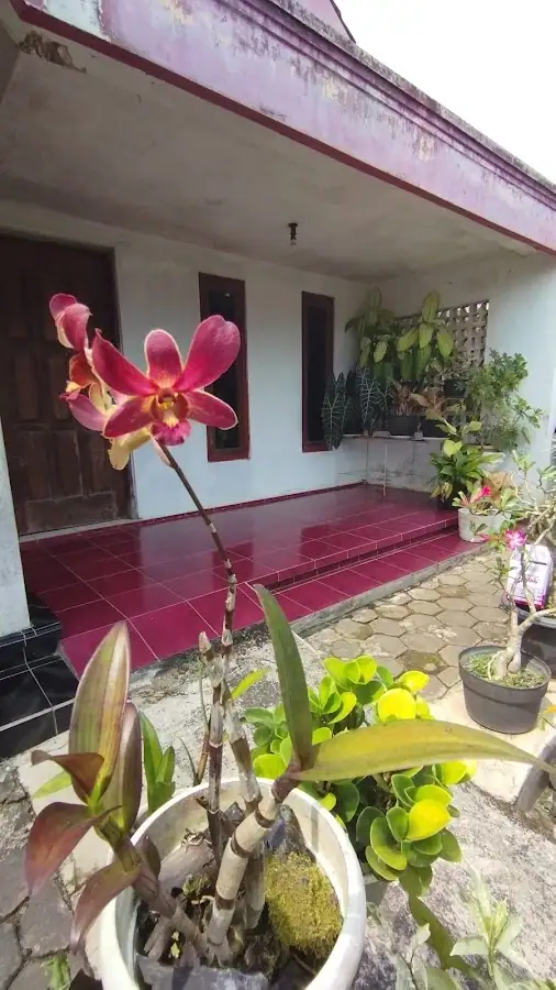 Pondok Mertua Indah — foto 3