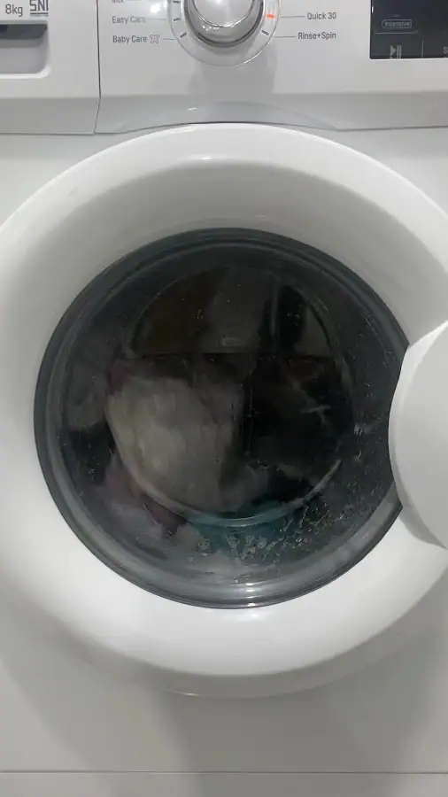 Sans Laundry — foto 3
