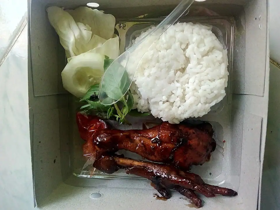 Nasi Kotak & Tumpeng Maidah