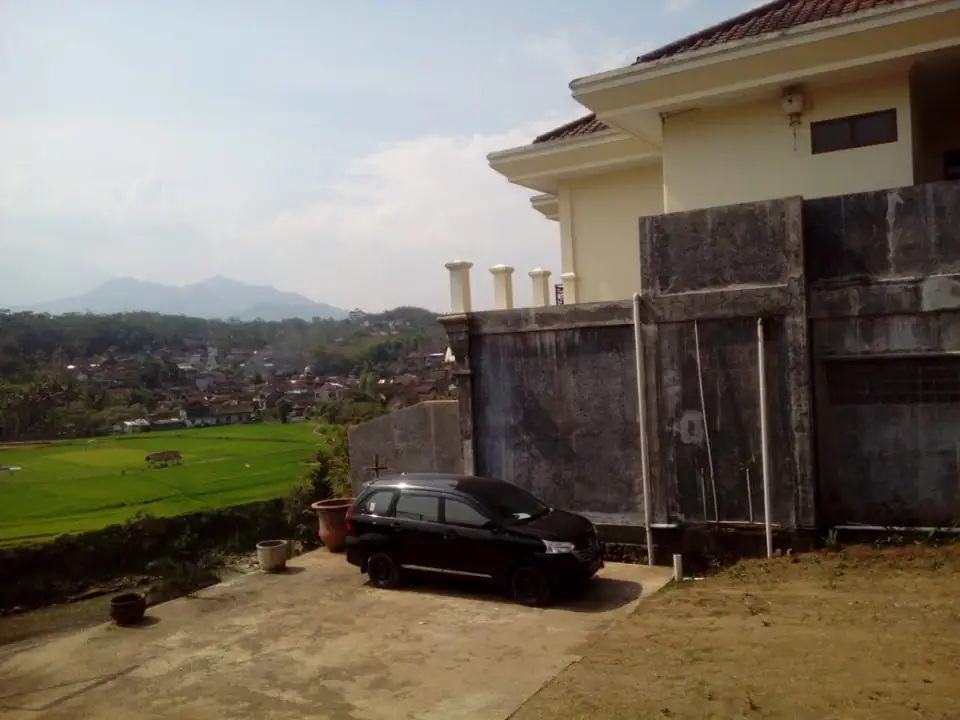 Bonny Kost