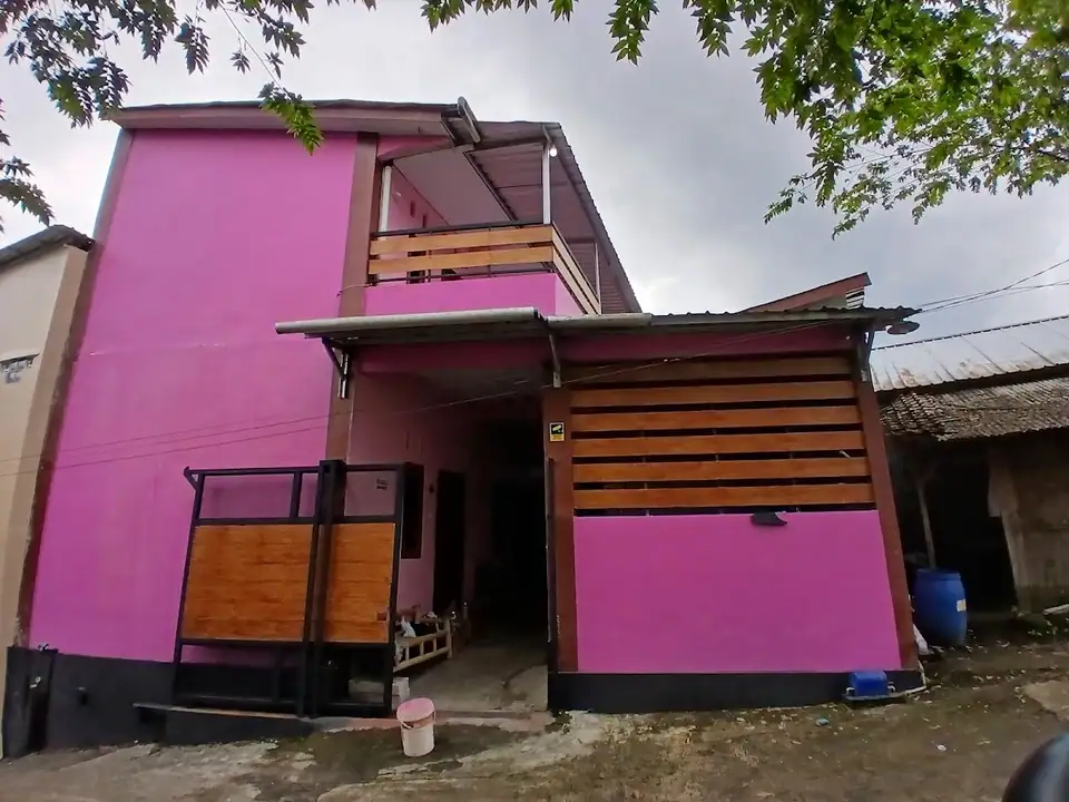 Kost Viola — foto 2