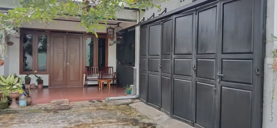 Kost Viola — foto 5