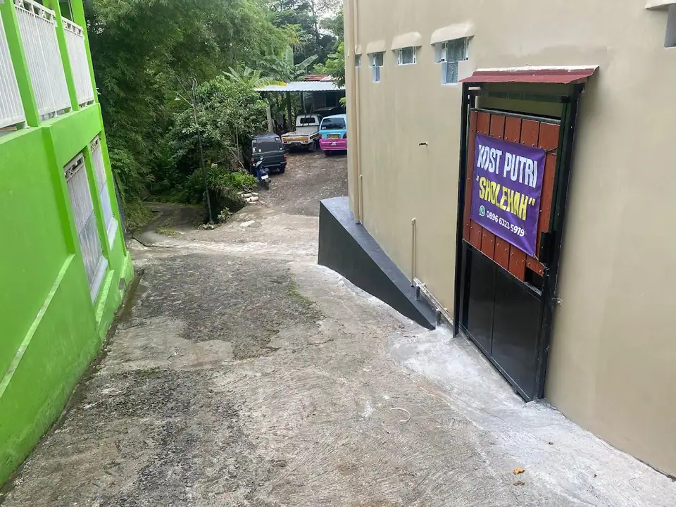 Kost Viola — foto 3