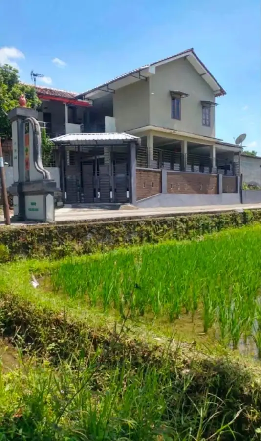 Kost Pak Suryo
