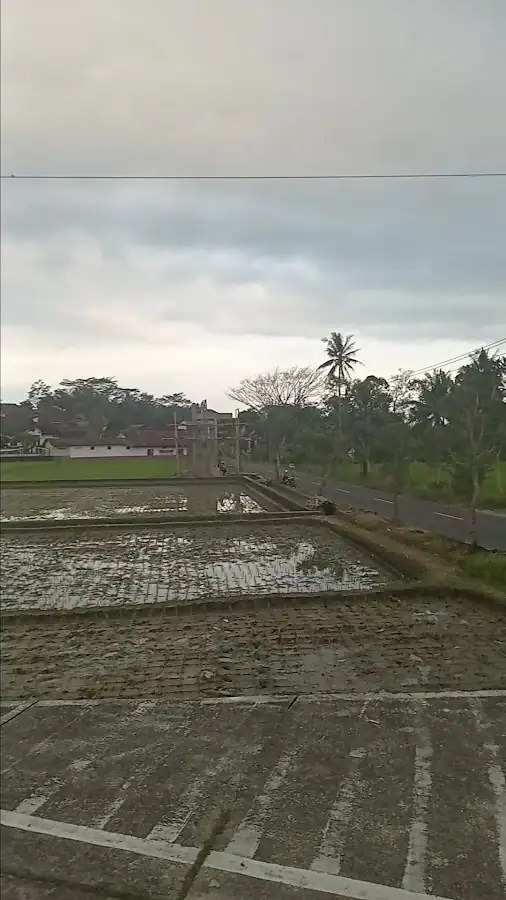 Kost Pak Suryo — foto 3