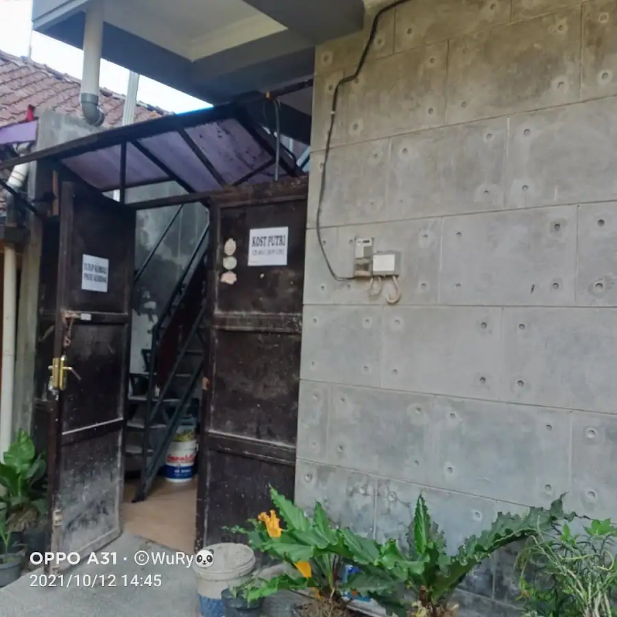 Kost Bunda WURY