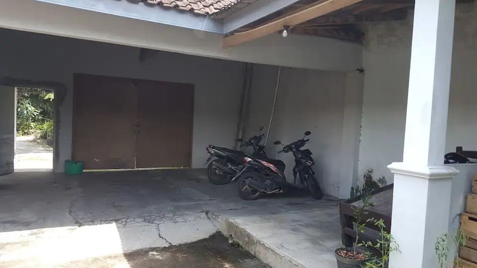 Kos Putra Pak Bakdi