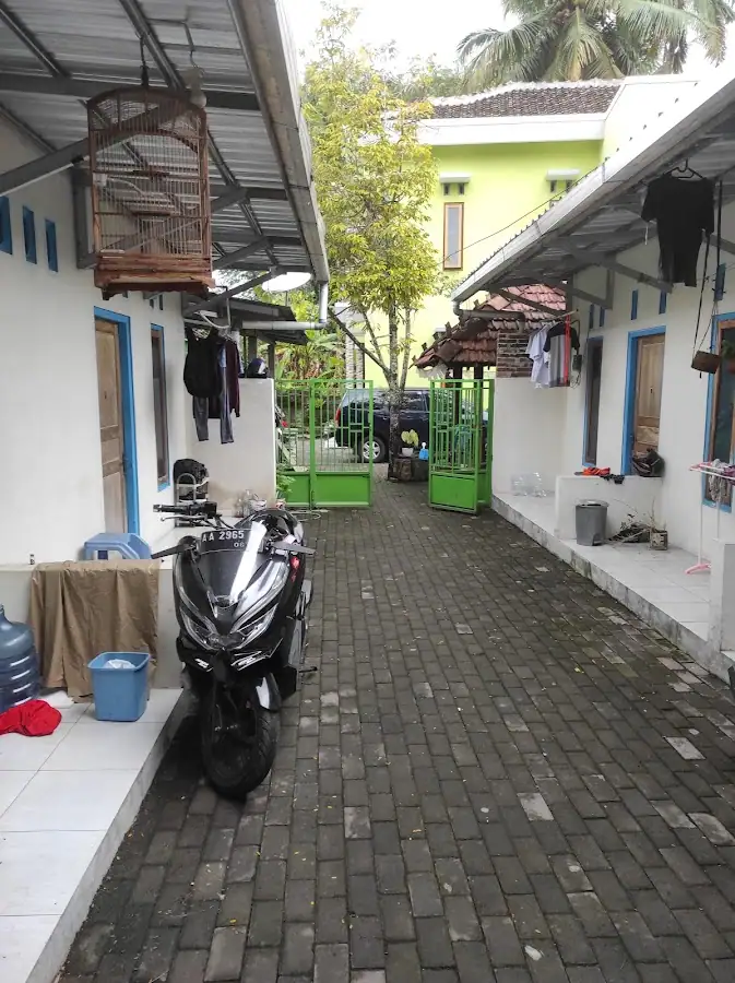 Kost setya — foto 3