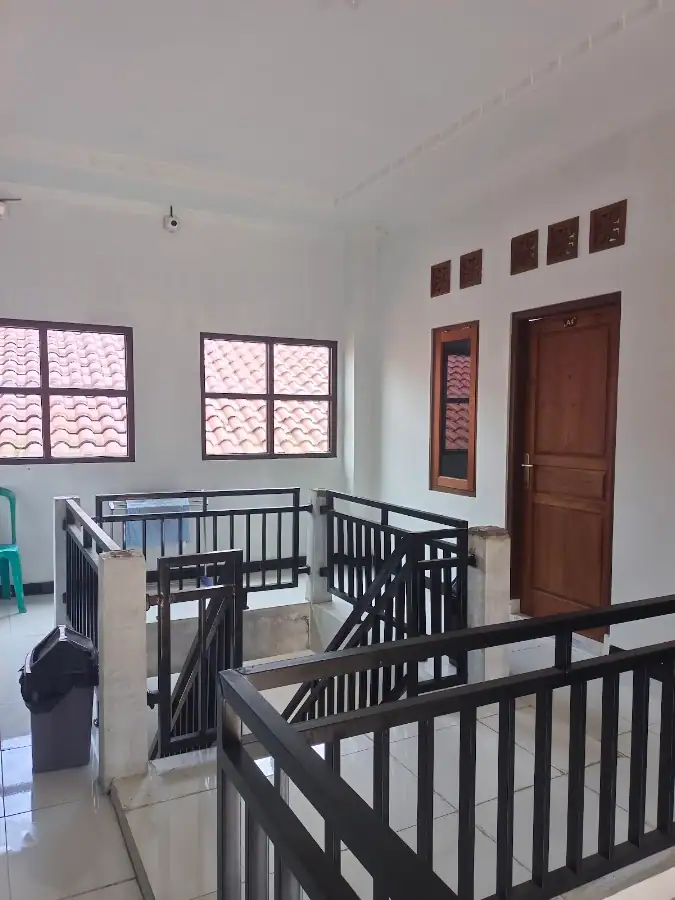 Kost setya — foto 2