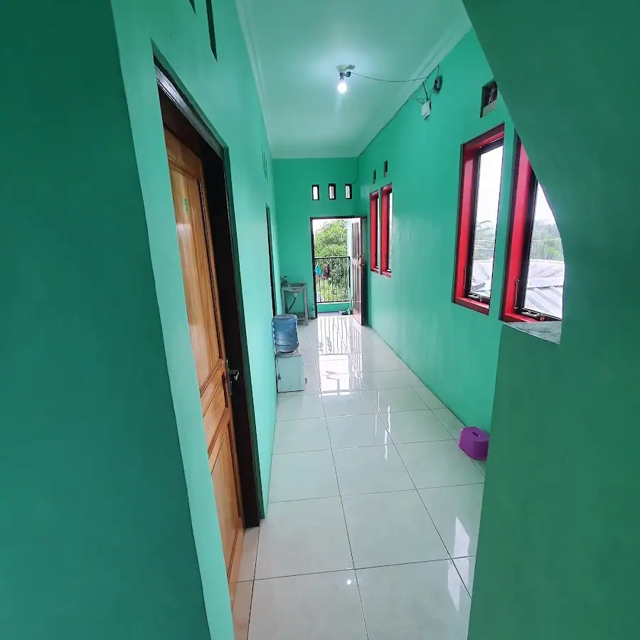 KOS DAUD HIJAU