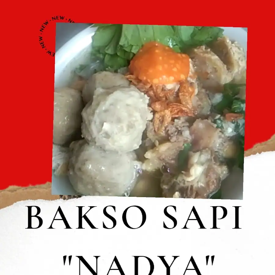 Bakso Sapi NADYA (Halal MUI)(BPOM RI ) — foto 4