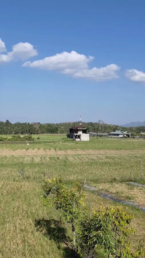 Mie Ayam dan Bakso Mas Dyan — foto 2