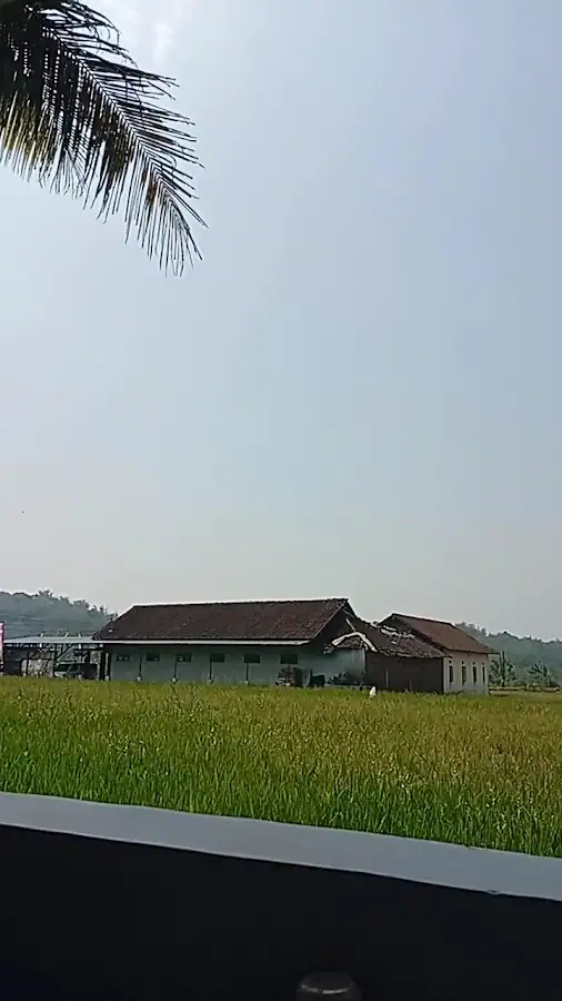 Mie Ayam dan Bakso Mas Dyan — foto 3