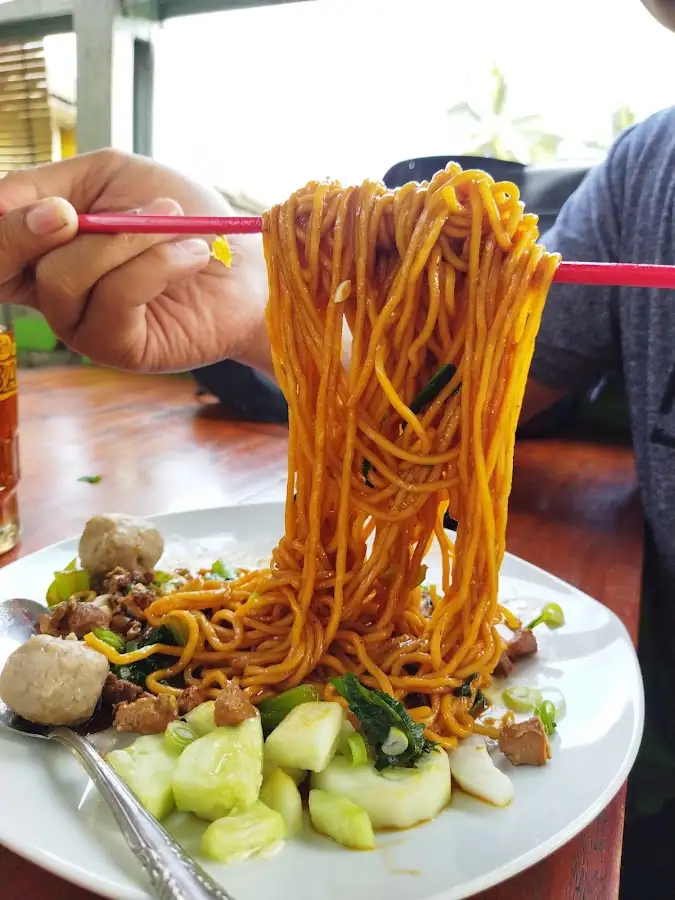 Mie Ayam dan Bakso Mas Dyan — foto 4