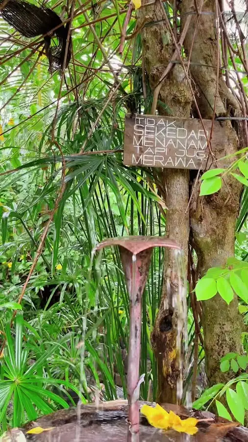 Saung Makan Bu Empat — foto 3