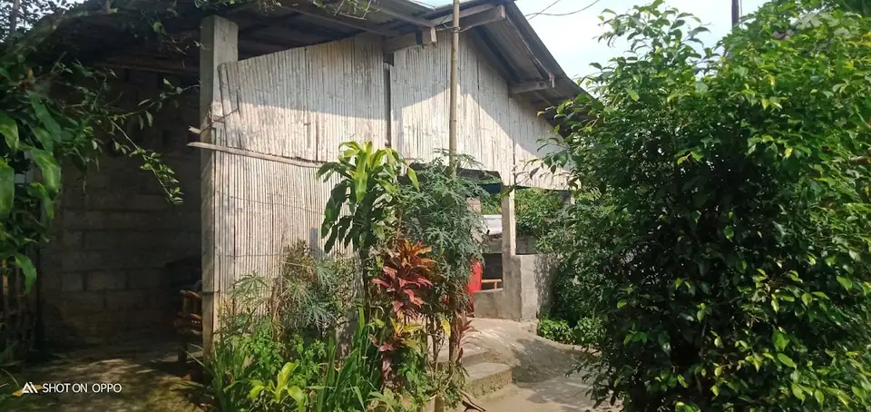 Jeruk Lokal Magelang — foto 4