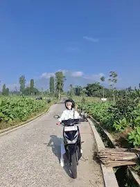 Sapto wibowo rental motor — foto 2